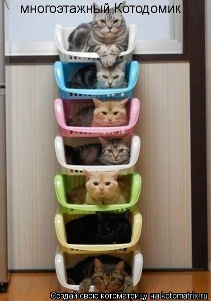 многоэтажный Котодомик... Котоматрица: многоэтажный Котодомик