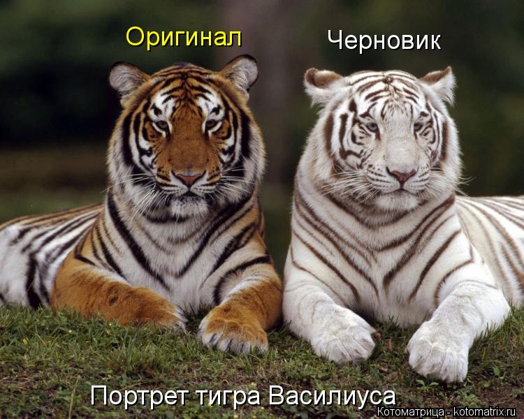 Оригинал Черновик Портрет тигра Василиуса... Котоматрица: Оригинал Черновик Портрет тигра Василиуса