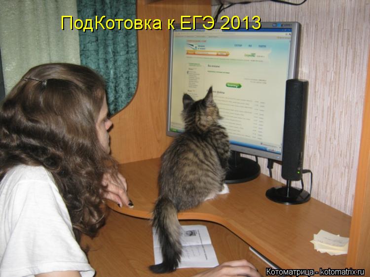 ПодКотовка к ЕГЭ 2013... Котоматрица: ПодКотовка к ЕГЭ 2013