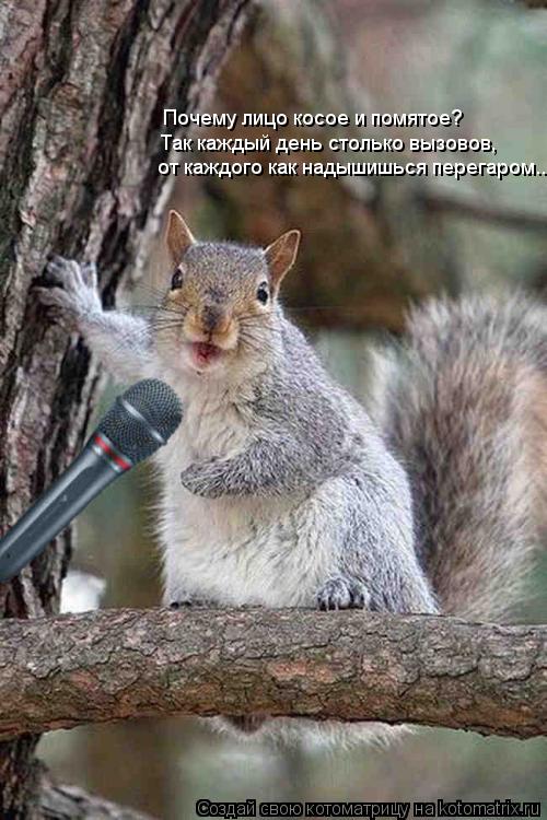 от каждого как надышишься перегаром... Так каждый день столько вызовов, Почему лицо косое и помятое?... Котоматрица: от каждого как надышишься перегаром... Так каждый день столько вызовов, Почему лицо косое и помятое?