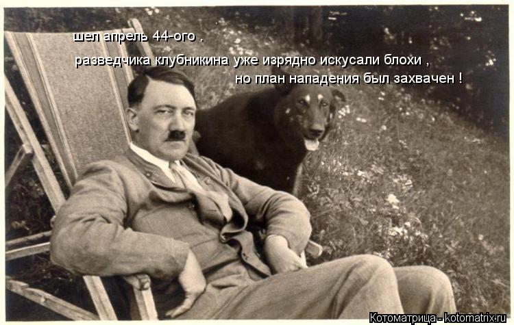 шел апрель 44-ого . разведчика клубникина уже изрядно искусали блохи , но план нападения был захвачен... Котоматрица: шел апрель 44-ого . разведчика клубникина уже изрядно искусали блохи , но план нападения был захвачен !