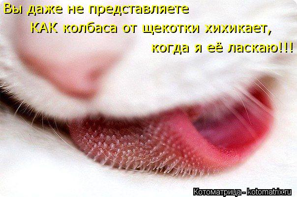 Вы даже не представляете когда я её ласкаю!!! КАК колбаса от щекотки хихикает,... Котоматрица: Вы даже не представляете когда я её ласкаю!!! КАК колбаса от щекотки хихикает,