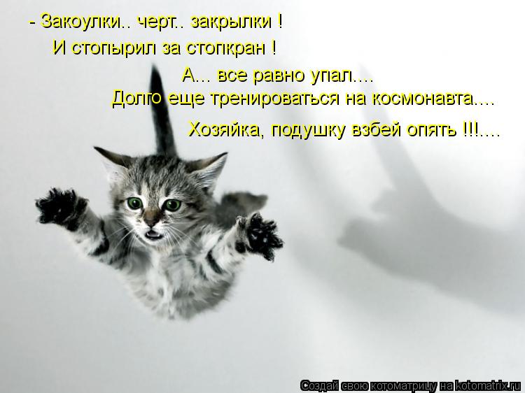 - Закоулки.. черт.. закрылки ! И стопырил за стопкран ! А... все равно упал.... Долго еще тренировать... Котоматрица: - Закоулки.. черт.. закрылки ! И стопырил за стопкран ! А... все равно упал.... Долго еще тренироваться на космонавта.... Хозяйка, подушку взбей опя