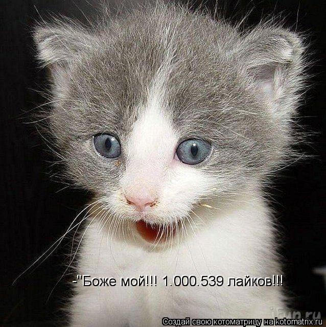 Котоматрица: -"Боже мой!!! 1.000.539 лайков!!! -"Боже мой!!! 1.000.539 лайков!!!