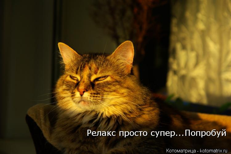 Релакс просто супер...Попробуй... Котоматрица: Релакс просто супер...Попробуй