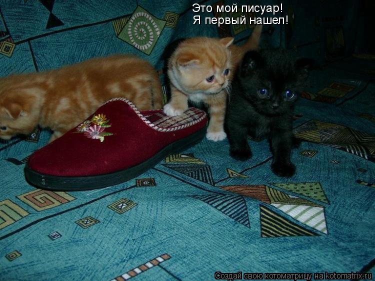 Это мой писуар! Я первый нашел!... Котоматрица: Это мой писуар! Я первый нашел!