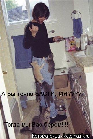 А Вы точно БАСТИЛИЯ???? Тогда мы Вас берем!!!!... Котоматрица: А Вы точно БАСТИЛИЯ???? Тогда мы Вас берем!!!!