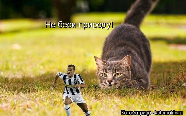 Не беси природу!... Котоматрица: Не беси природу!
