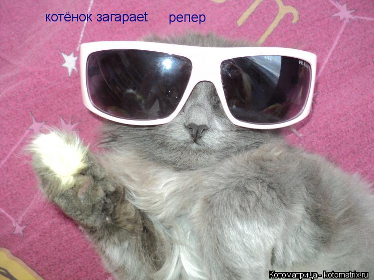 котёнок загараеt репер... Котоматрица: котёнок загараеt репер