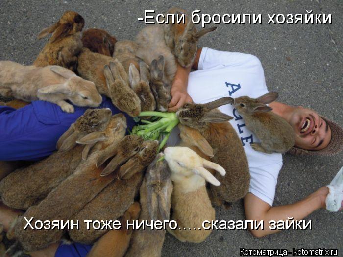 Хозяин тоже ничего.....сказали зайки -Если бросили хозяйки... Котоматрица: Хозяин тоже ничего.....сказали зайки -Если бросили хозяйки