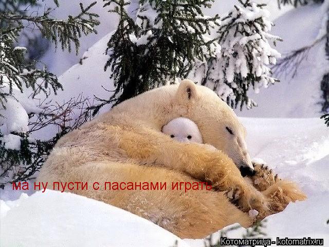 ма ну пусти с пасанами играть... Котоматрица: ма ну пусти с пасанами играть