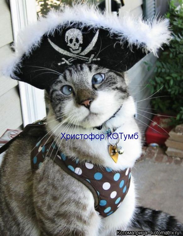 Христофор КОТумб... Котоматрица: Христофор КОТумб