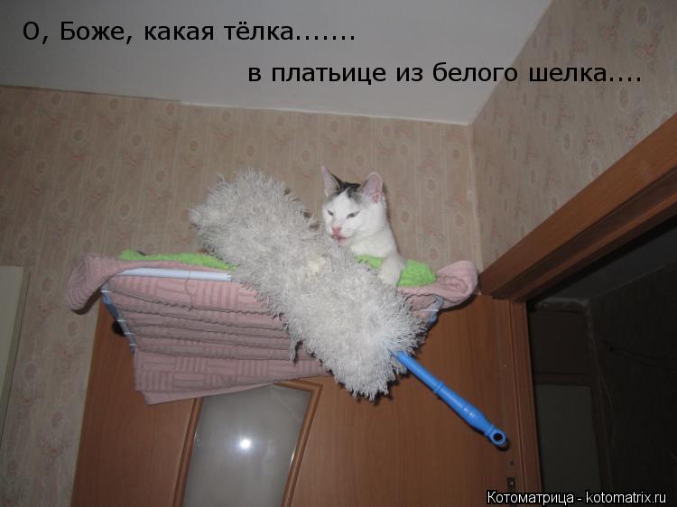 О, Боже, какая тёлка....... в платьице из белого шелка....... Котоматрица: О, Боже, какая тёлка....... в платьице из белого шелка....