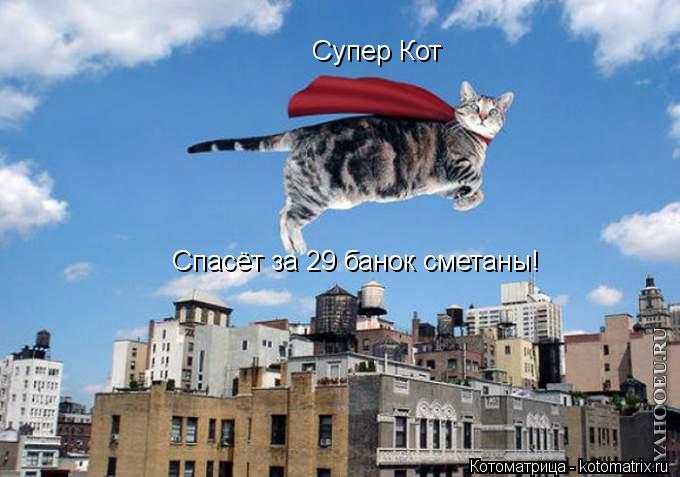 Супер Кот Спасёт за 29 банок сметаны!... Котоматрица: Супер Кот Спасёт за 29 банок сметаны!