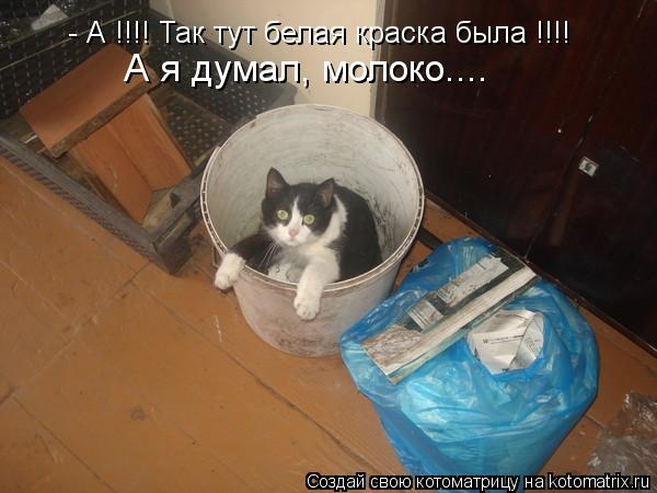 - А !!!! Так тут белая краска была !!!! А я думал, молоко....... Котоматрица: - А !!!! Так тут белая краска была !!!! А я думал, молоко....