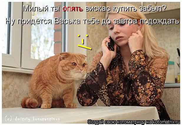 Милый ты опять вискас купить забыл? Ну придётся Васька тебе до завтра подождать :-/ ОПЯТЬ... Котоматрица: Милый ты опять вискас купить забыл? Ну придётся Васька тебе до завтра подождать :-/ ОПЯТЬ