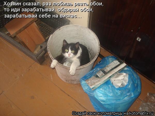 Хозяин сказал, раз любишь рвать обои, то иди зарабатывай, обдирай обои, зарабатывай себе на вискас...... Котоматрица: Хозяин сказал, раз любишь рвать обои, то иди зарабатывай, обдирай обои, зарабатывай себе на вискас...