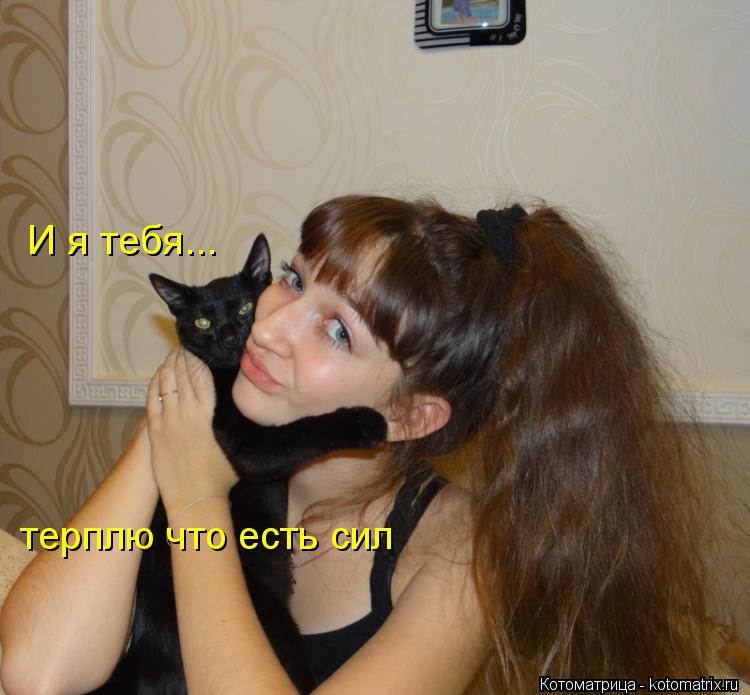 И я тебя... терплю что есть сил... Котоматрица: И я тебя... терплю что есть сил