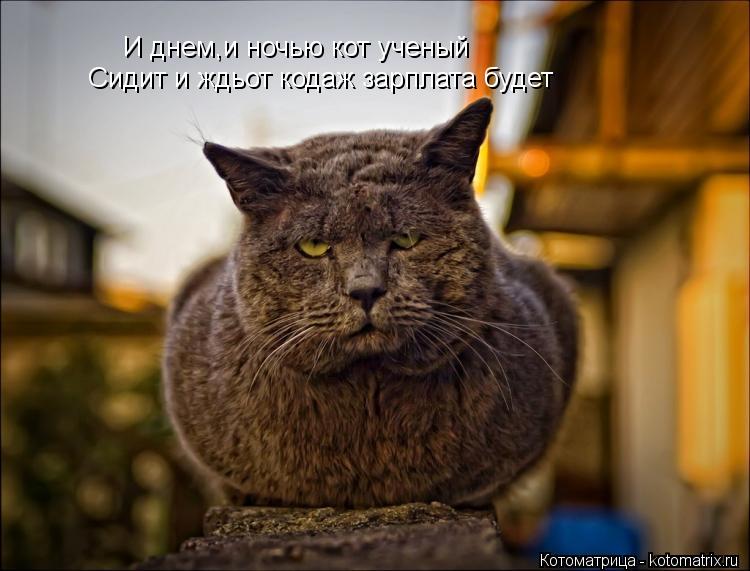 И днем,и ночью кот ученый Сидит и ждьот кодаж зарплата будет... Котоматрица: И днем,и ночью кот ученый Сидит и ждьот кодаж зарплата будет