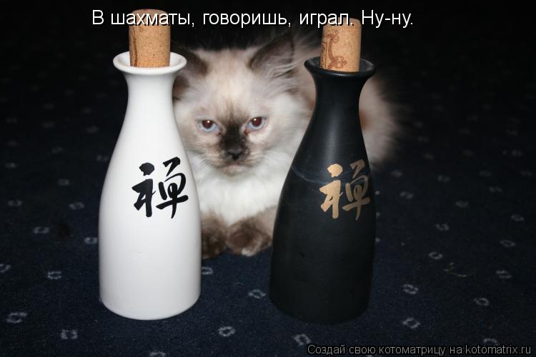 В шахматы, говоришь, играл. Ну-ну.... Котоматрица: В шахматы, говоришь, играл. Ну-ну.
