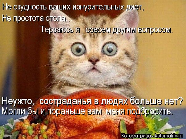 Не скудность ваших изнурительных диет, Не простота стола… Терзаюсь я совсем другим вопросом. Неужт... Котоматрица: Не скудность ваших изнурительных диет, Не простота стола… Терзаюсь я совсем другим вопросом. Неужто, состраданья в людях больше нет? Мог