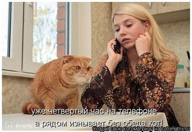 уже четвертый час на телефоне а рядом изнывает без обеда кот!... Котоматрица: уже четвертый час на телефоне а рядом изнывает без обеда кот!