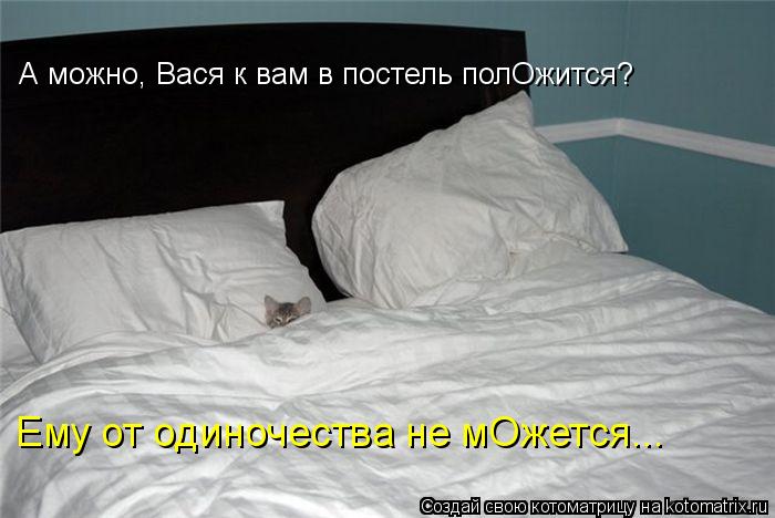 А можно, Вася к вам в постель полОжится? Ему от одиночества не мОжется...... Котоматрица: А можно, Вася к вам в постель полОжится? Ему от одиночества не мОжется...