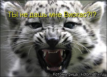 ТЫ не дашь мне Вискас?!?... Котоматрица: ТЫ не дашь мне Вискас?!?
