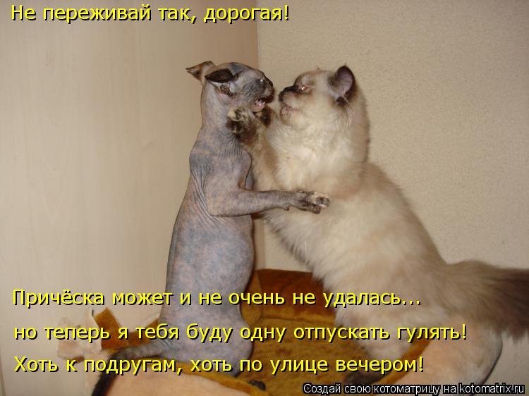Не переживай так, дорогая! Хоть к подругам, хоть по улице вечером! но теперь я тебя буду одну отпуска... Котоматрица: Не переживай так, дорогая! Хоть к подругам, хоть по улице вечером! но теперь я тебя буду одну отпускать гулять! Причёска может и не очень не у