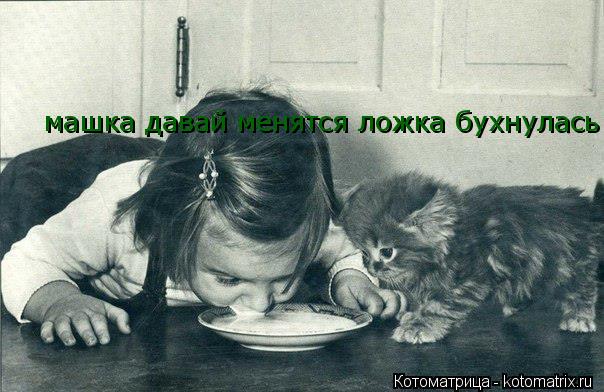 машка давай менятся ложка бухнулась... Котоматрица: машка давай менятся ложка бухнулась