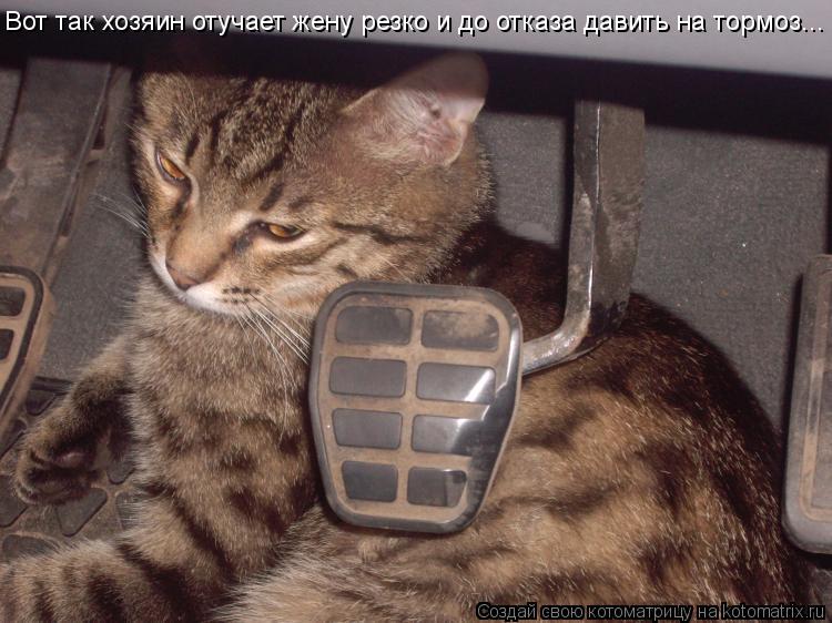 Вот так хозяин отучает жену резко и до отказа давить на тормоз...... Котоматрица: Вот так хозяин отучает жену резко и до отказа давить на тормоз...