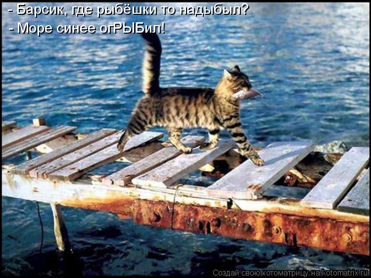 - Барсик, где рыбёшки то надыбыл? - Море синее огРЫБил!... Котоматрица: - Барсик, где рыбёшки то надыбыл? - Море синее огРЫБил!