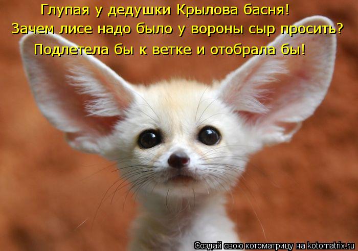 Глупая у дедушки Крылова басня! Зачем лисе надо было у вороны сыр просить? Подлетела бы к ветке и ото... Котоматрица: Глупая у дедушки Крылова басня! Зачем лисе надо было у вороны сыр просить? Подлетела бы к ветке и отобрала бы!