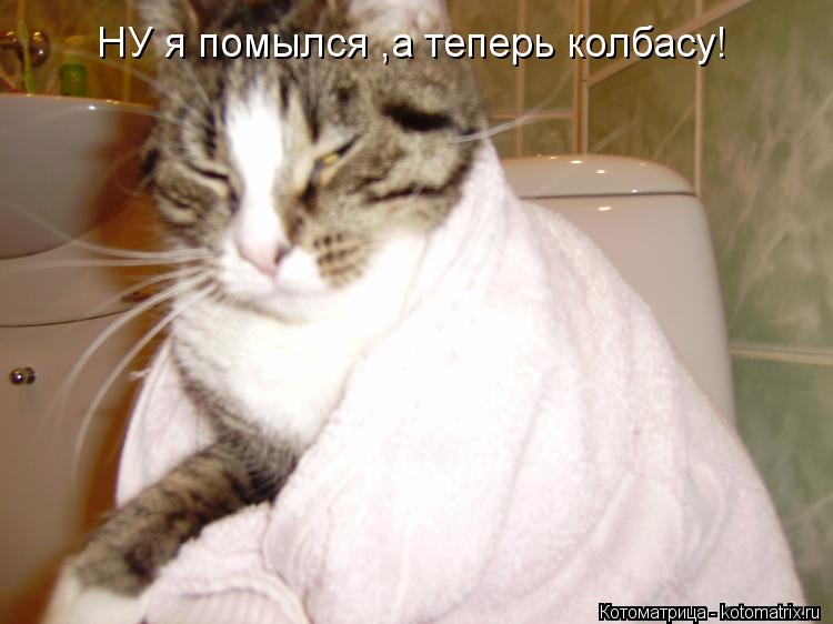 НУ я помылся ,а теперь колбасу!... Котоматрица: НУ я помылся ,а теперь колбасу!