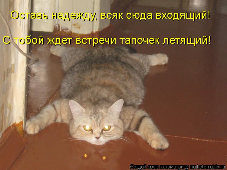 Котоматрица: Оставь надежду, всяк сюда входящий! С тобой ждет встречи тапочек летящий!