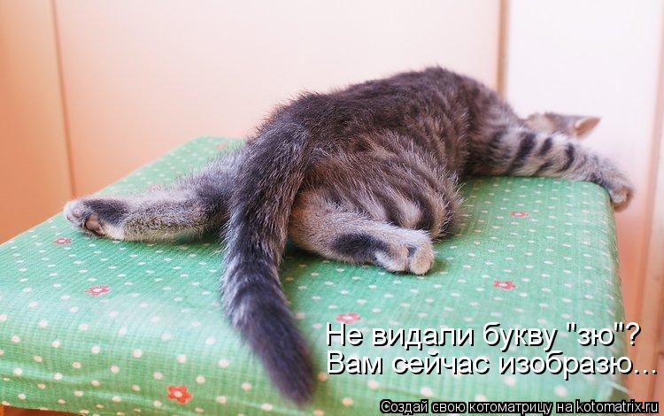 Вам сейчас изобразю... Не видали букву "зю"?... Котоматрица: Вам сейчас изобразю... Не видали букву "зю"?