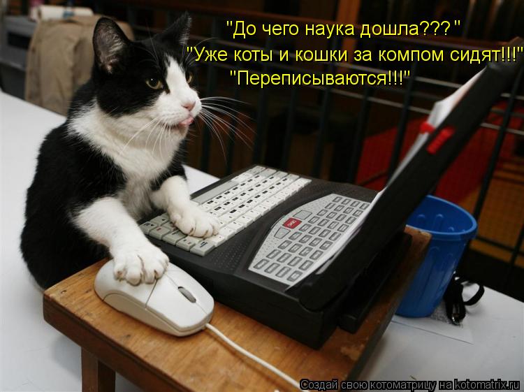 Котоматрица: "До чего наука дошла???  " "Уже коты и кошки за компом сидят!!!" "Переписываются!!!"