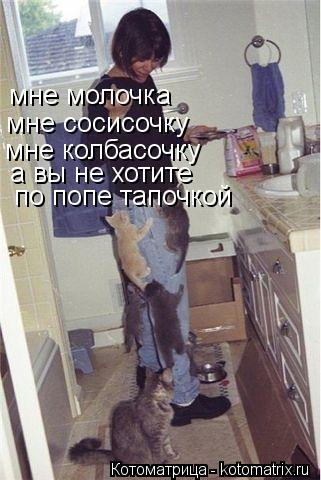 мне молочка мне сосисочку мне колбасочку а вы не хотите по попе тапочкой... Котоматрица: мне молочка мне сосисочку мне колбасочку а вы не хотите по попе тапочкой