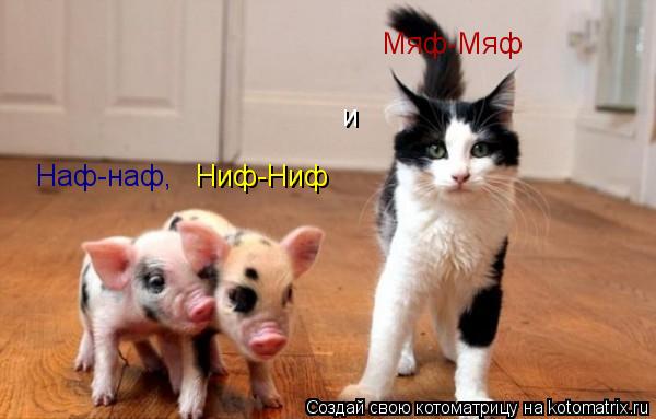 Котоматрица: Ниф-Ниф Наф-наф, и Мяф-Мяф