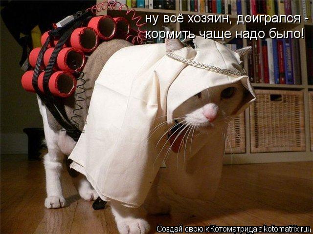 ну всё хозяин, доигрался - кормить чаще надо было!... Котоматрица: ну всё хозяин, доигрался - кормить чаще надо было!