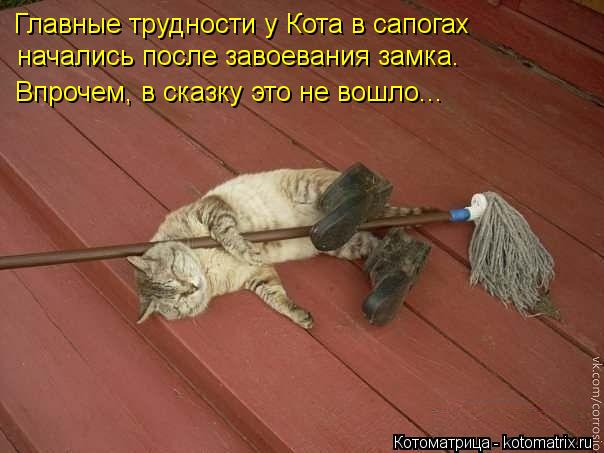 http://kotomatrix.ru/images/lolz/2013/05/31/kotomatritsa_tN.jpg