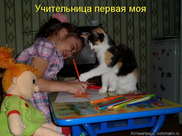 Учительница первая моя... Котоматрица: Учительница первая моя