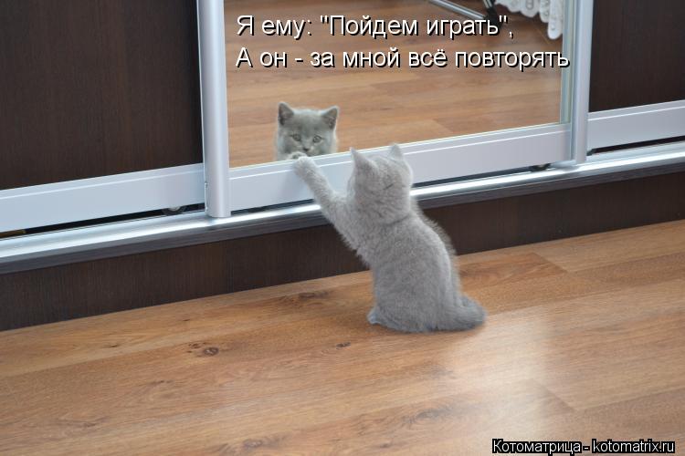 Я ему: "Пойдем играть", А он - за мной всё повторять... Котоматрица: Я ему: "Пойдем играть", А он - за мной всё повторять