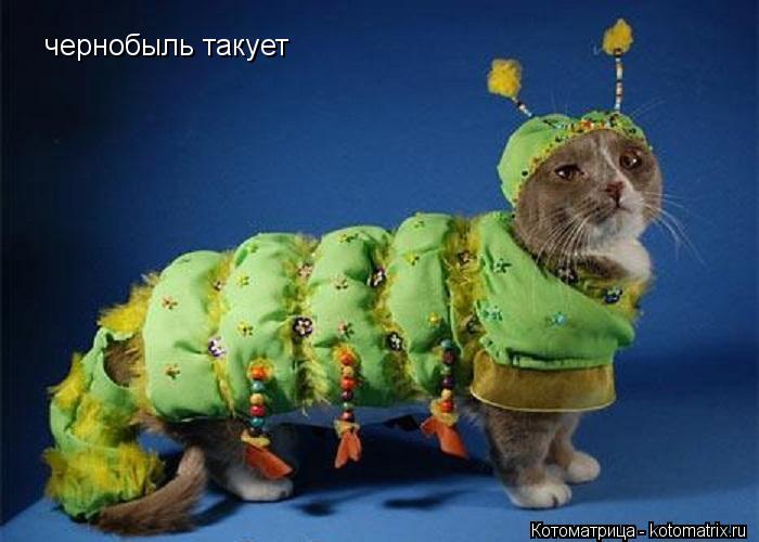 чернобыль такует... Котоматрица: чернобыль такует