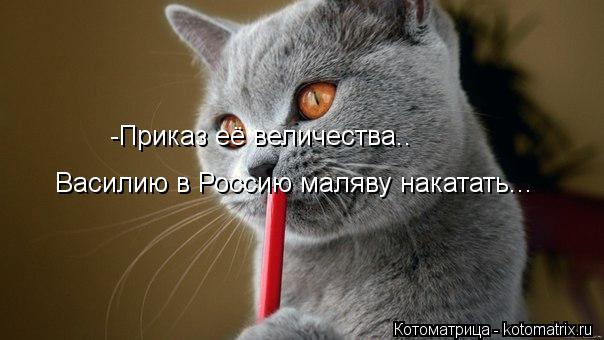 -Приказ её величества.. Василию в Россию маляву накатать...... Котоматрица: -Приказ её величества.. Василию в Россию маляву накатать...
