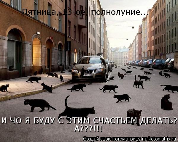 Котоматрица: Пятница, 13-ое, полнолуние... И ЧО Я БУДУ С ЭТИМ СЧАСТЬЕМ ДЕЛАТЬ??? А???!!!  А???!!!