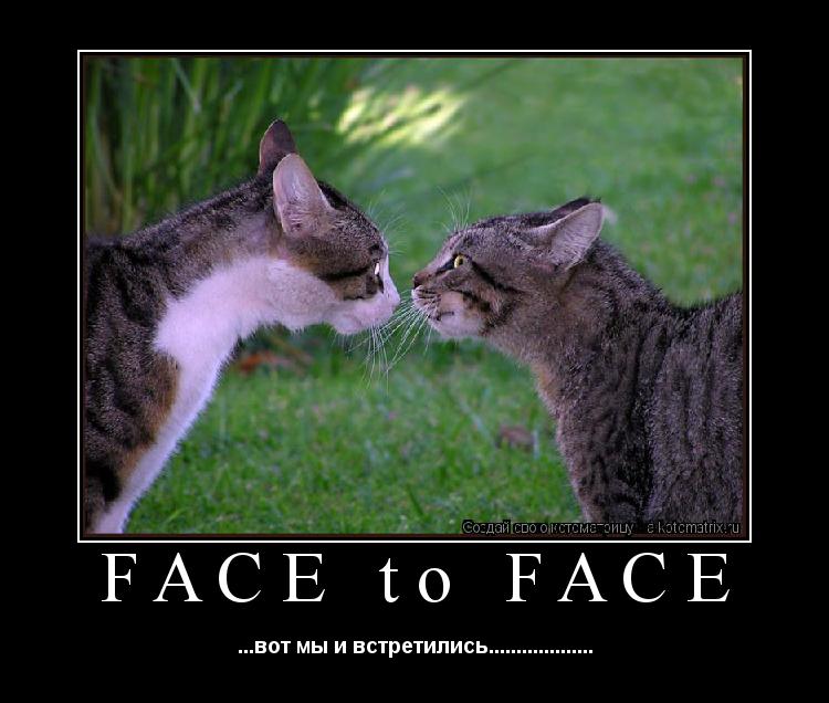 FACE to FACE ...вот мы и встретились...................... Котоматрица: FACE to FACE ...вот мы и встретились...................