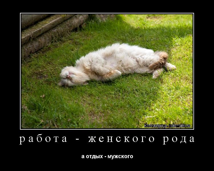 работа - женского рода а отдых - мужского... Котоматрица: работа - женского рода а отдых - мужского