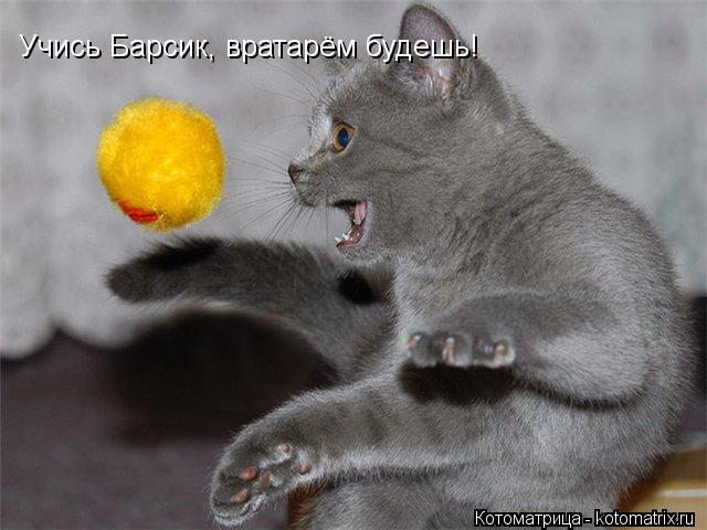 Учись Барсик, вратарём будешь! Учись Барсик, вратарём будешь!... Котоматрица: Учись Барсик, вратарём будешь! Учись Барсик, вратарём будешь!