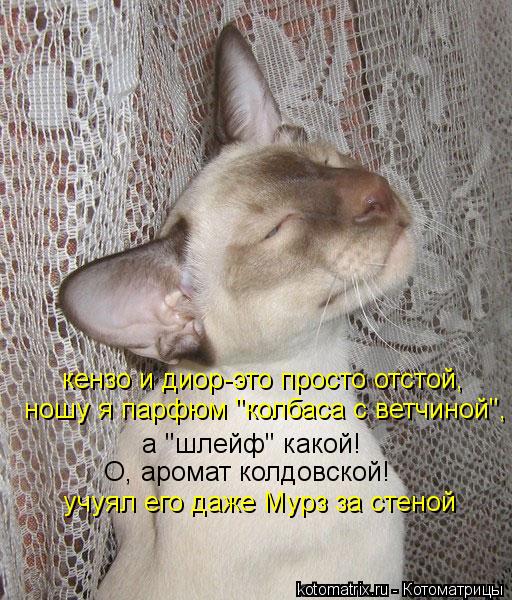 а "шлейф" какой! О, аромат колдовской! кензо и диор-это просто отстой, ношу я парфюм "колбаса с ветч... Котоматрица: а "шлейф" какой! О, аромат колдовской! кензо и диор-это просто отстой, ношу я парфюм "колбаса с ветчиной", учуял его даже Мурз за стеной